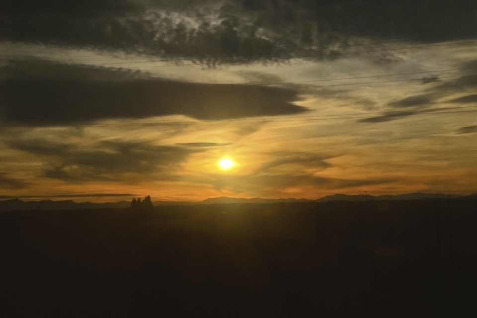 アップロード画像