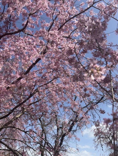 写メ