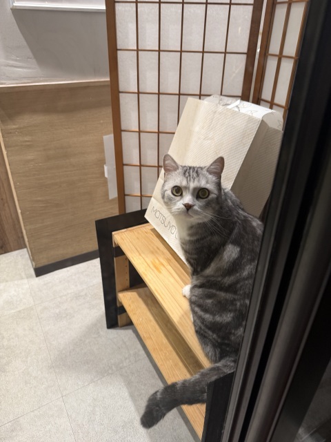 写メ