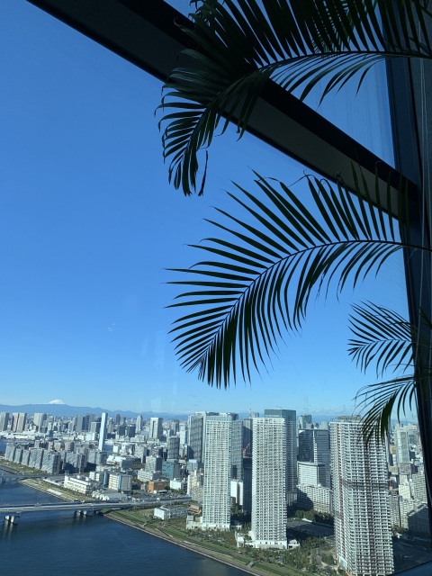 写メ