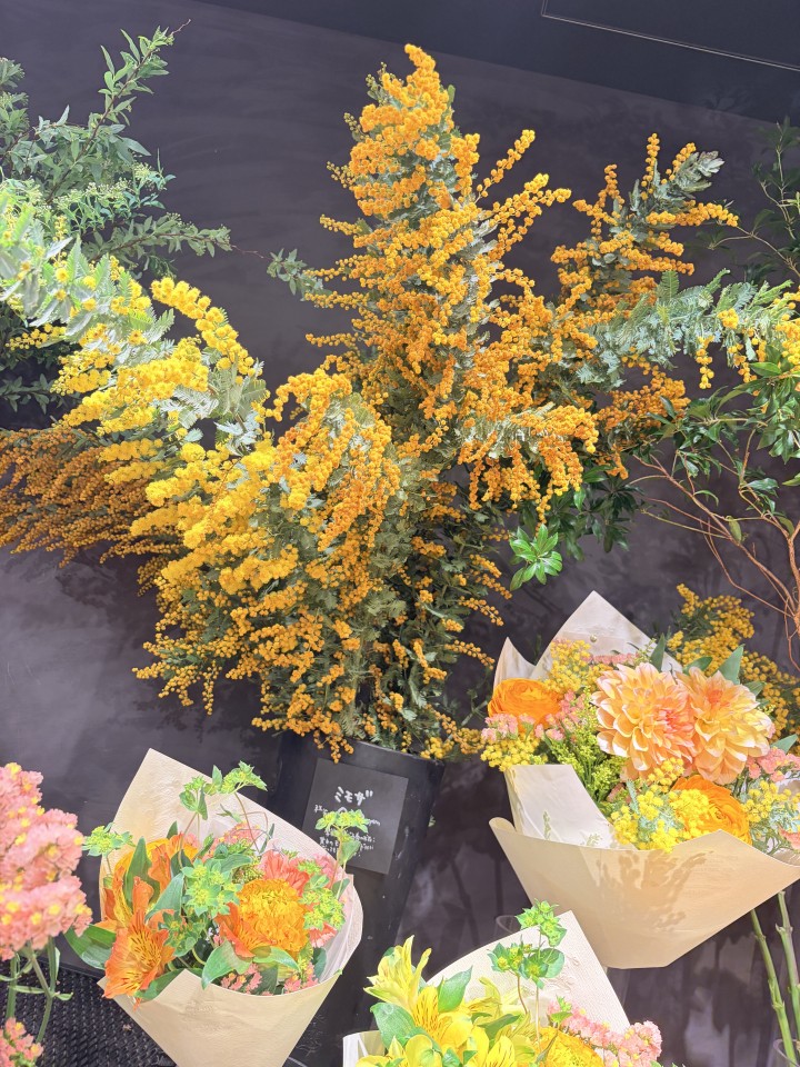 アップロード画像