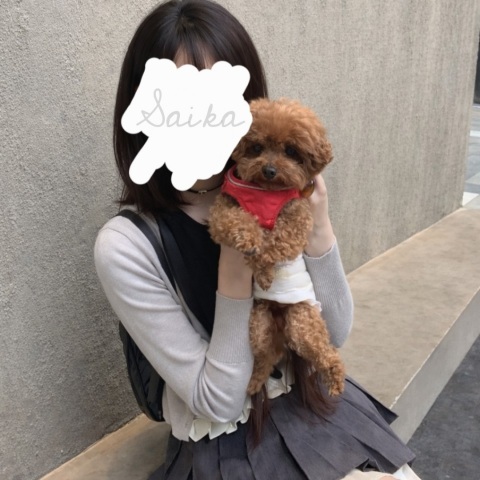 写メ