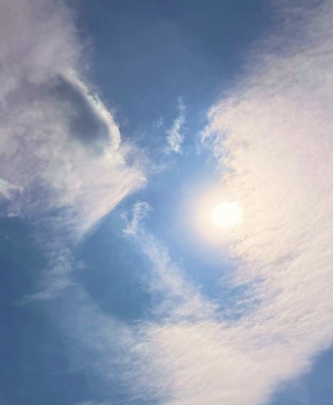 写メ